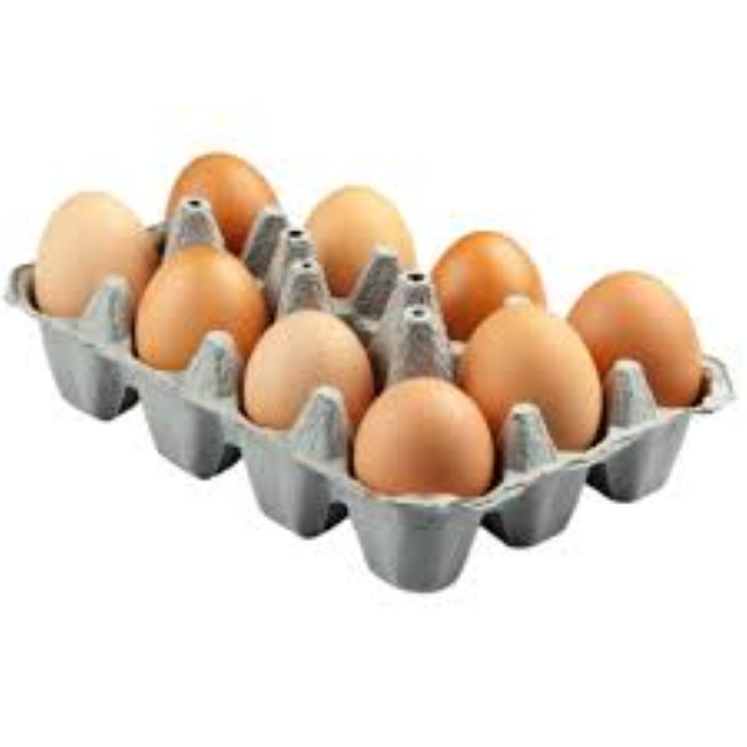 ORGANIC EGG 15PKS